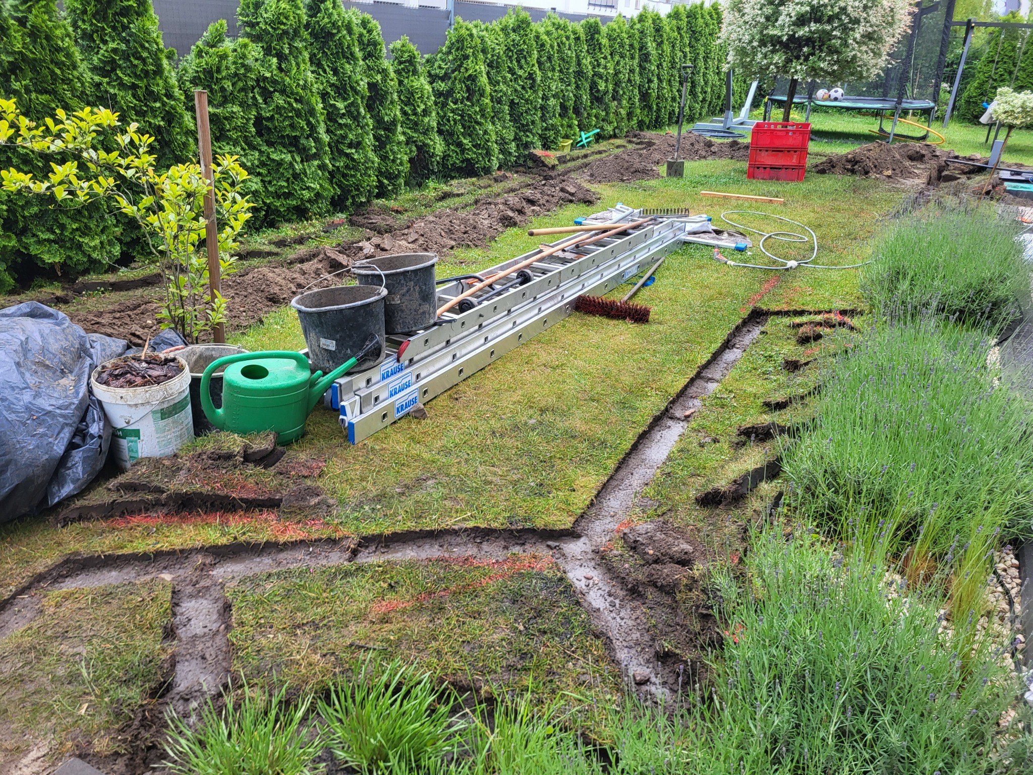 Nawadnianie trawnika