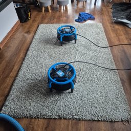 Fresh Tapicer Łukasz Miller - Dwa niebieskie wentylatory suszą wyprany, szary dywan na drewnianej podłodze w pomieszczeniu. Widoczne krzesła i akcesoria do sprzątania.