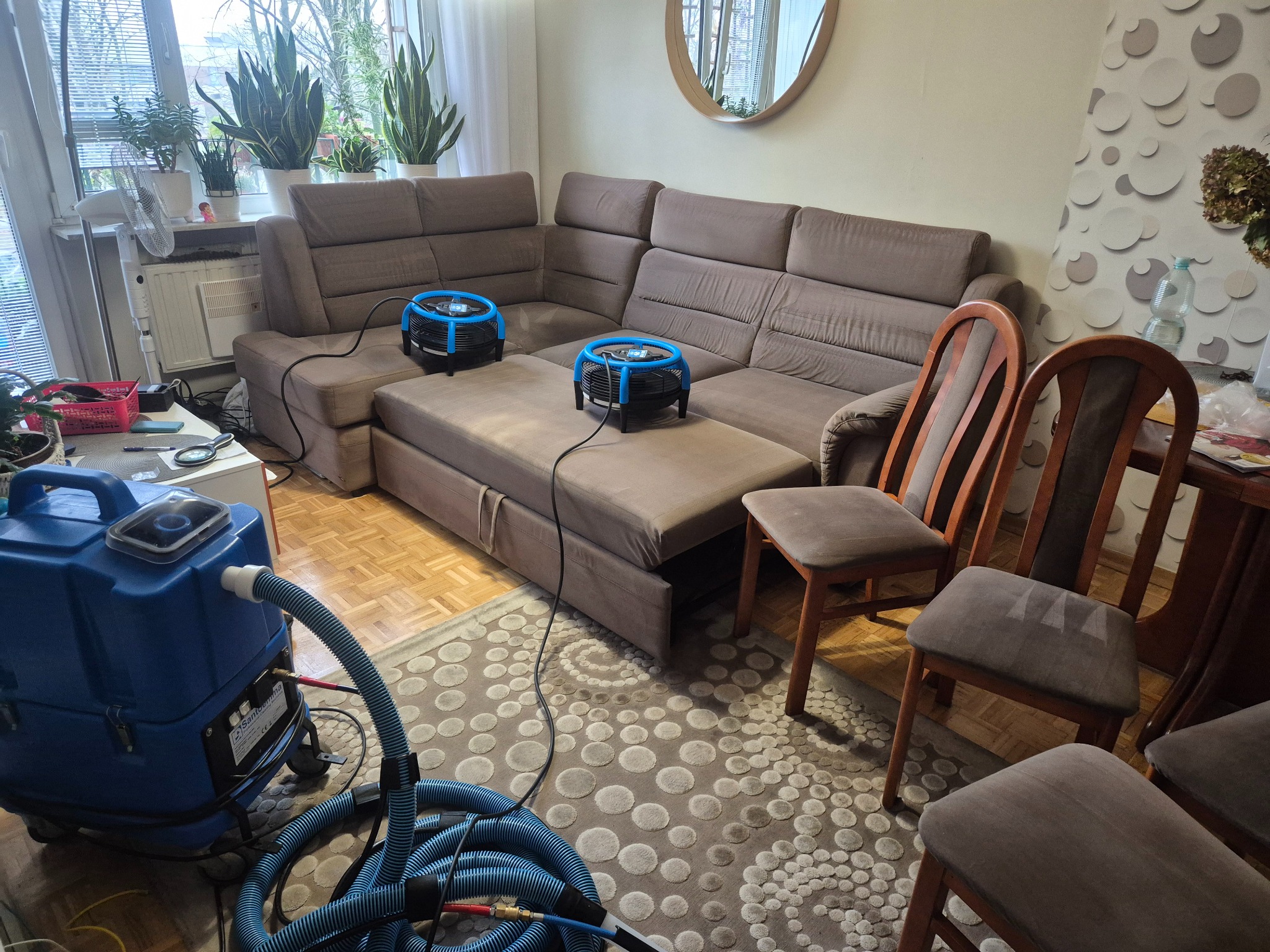 Brązowa kanapa narożna z wysuniętą częścią, suszarki i sprzęt do czyszczenia tapicerki w pokoju z okrągłym lustrem i wzorzystą tapetą.