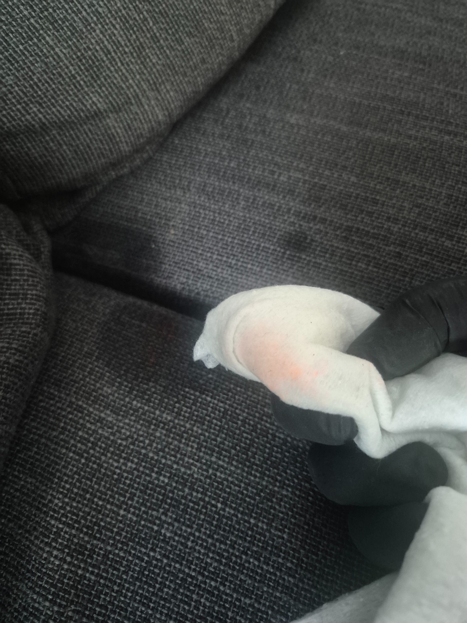 Czyszczenie plamy na szarej tapicerce kanapy białą ściereczką trzymaną w dłoni w czarnej rękawiczce ochronnej. Widoczny efekt usuwania zabrudzenia.