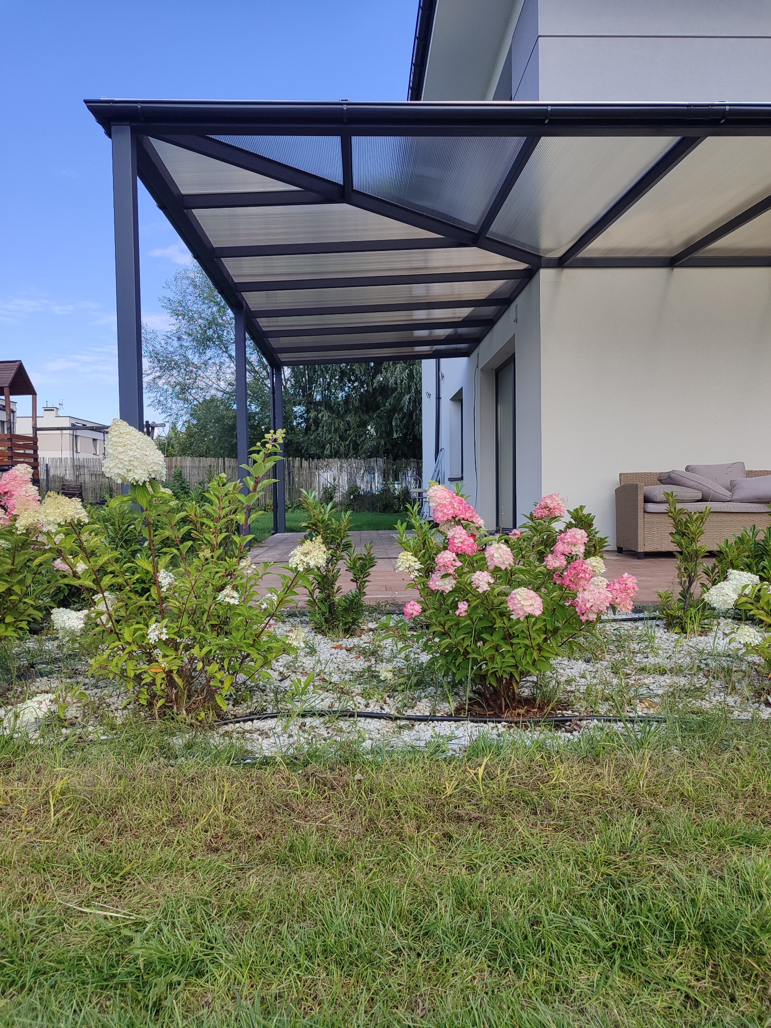 Nowoczesna, metalowa pergola z przezroczystym zadaszeniem, przylegająca do białego budynku. W tle drewniany taras i sofa ogrodowa, a na pierwszym planie kwitnące hortensje.