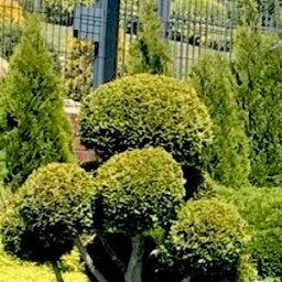 Zakładanie ogrodów Poznań 1