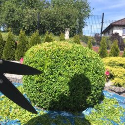 Zakładanie ogrodów Poznań 1