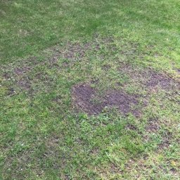 Zakładanie ogrodów Poznań 4