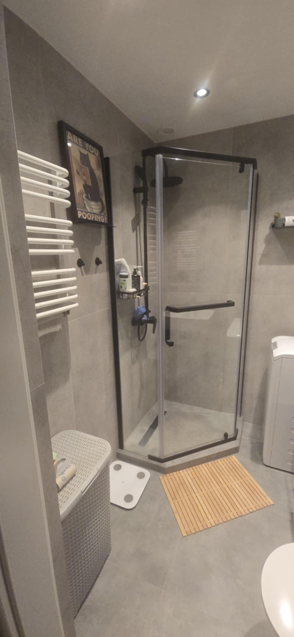 Nowoczesna łazienka w szarościach z kabiną prysznicową w czarnej ramie, grzejnikiem drabinkowym i zabawnym plakatem z kotem. Minimalistyczny design.