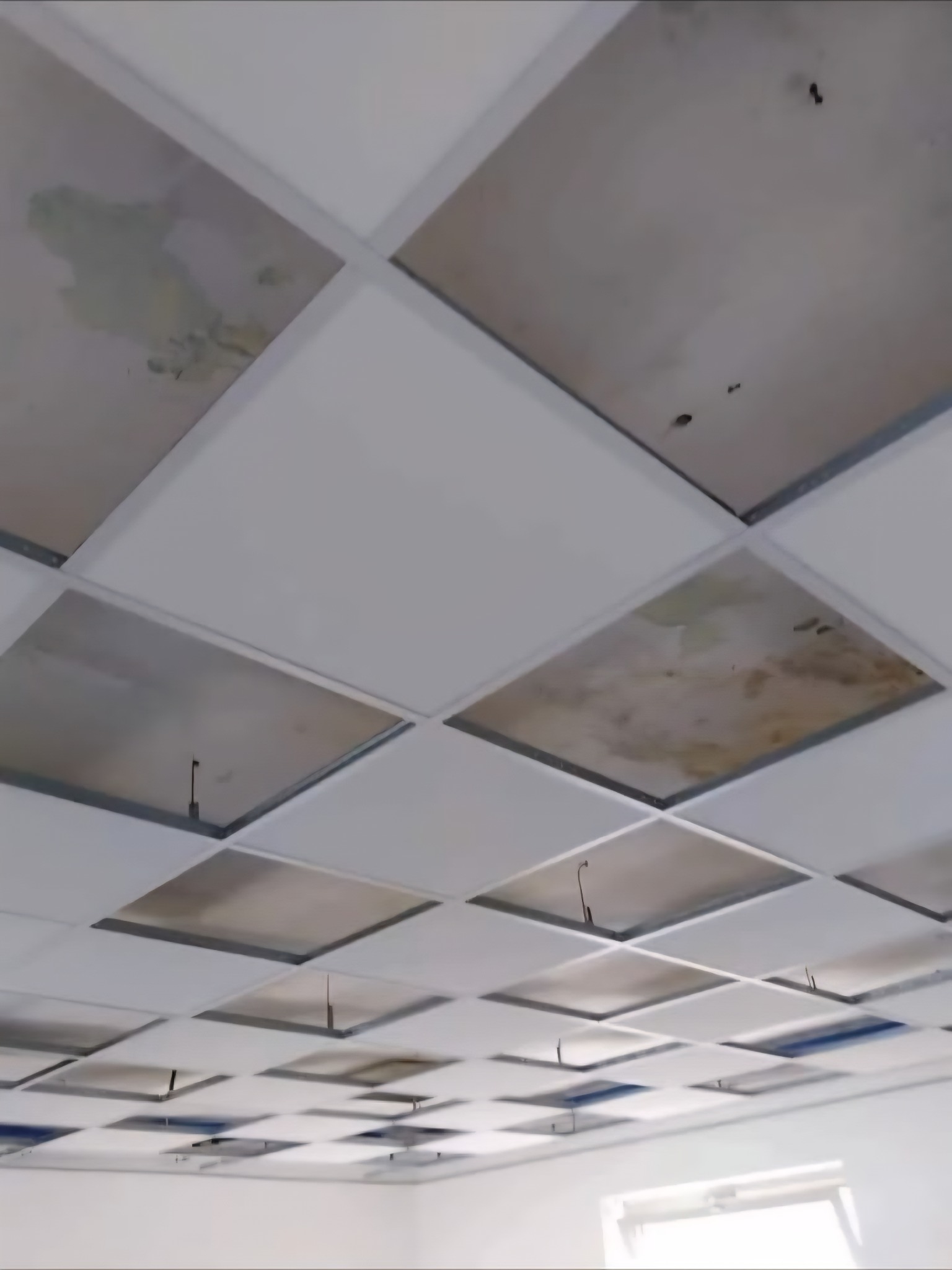 Sufit podwieszany kasetonowy z widocznymi elementami montażowymi i częściowo zamontowanymi płytami. Widoczne ślady po zalaniu na niektórych kasetonach.