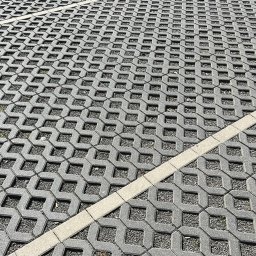 Wycinka drzew Olsztyn 2