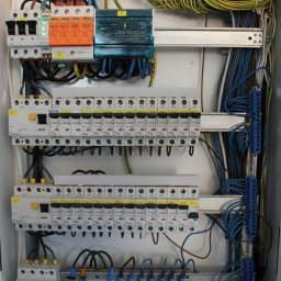 Wycinka drzew Olsztynek 1