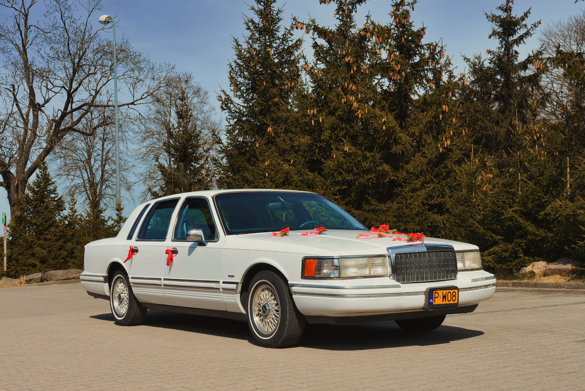 Biała limuzyna Lincoln z czerwonymi dekoracjami kwiatowymi, gotowa do ślubu, zaparkowana w Pile na tle drzew. Elegancki pojazd do wynajęcia na specjalne okazje.