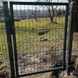 SPAWMAKS Andrii Maksimchuk - Nowa, metalowa furtka panelowa z zamkiem, świeżo zamontowana w ziemi na tle zielonego wzgórza i błękitnego nieba w słoneczny dzień. Widoczne ślady montażu.