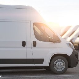 AD-POL - PustemM4 - Wyw&oacute;z Papy Lubotyń