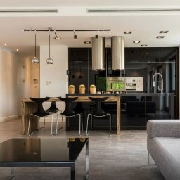 Solidus - Nowoczesne wnętrze: czarne, lakierowane szafki kuchenne z wyspą i hokerami, srebrne lampy wiszące, szara sofa i stolik kawowy. Minimalistyczny design z akcentami roślinnymi.