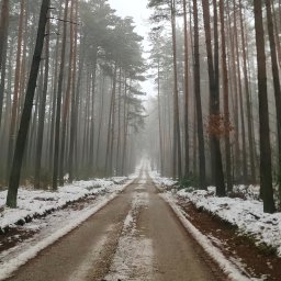 Łukasz Szczepan Firma Usługowa - Utrzymanie Ogrod&oacute;w Patrzyk&oacute;w