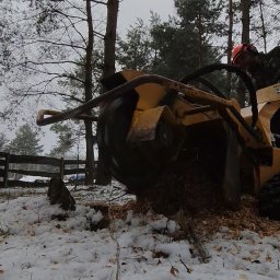 Wycinka drzew Patrzyków 1