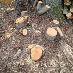 Łukasz Szczepan Firma Usługowa - Usługi w ogrodzie Pajęczno