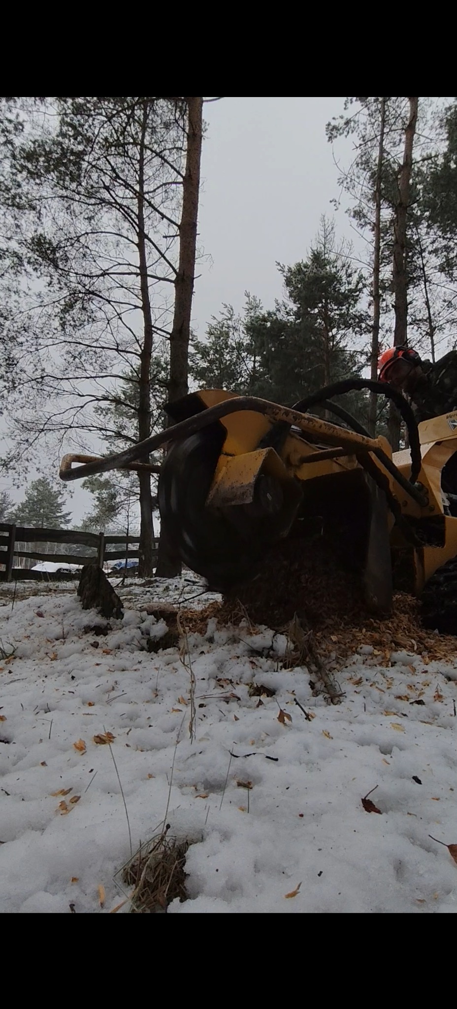 Żółta frezarka do pni w akcji, rozdrabniająca pień drzewa na śniegu. Operator w kasku ochronnym. W tle drzewa i drewniany płot.