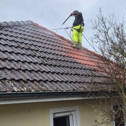 Specjaliści od Renowacji,Wysokości i Wycinek 66-400 - Pracownik w jaskrawych spodniach czyści ciśnieniowo dachówkę, usuwając mech. Wyraźny kontrast między brudną a już oczyszczoną częścią dachu.