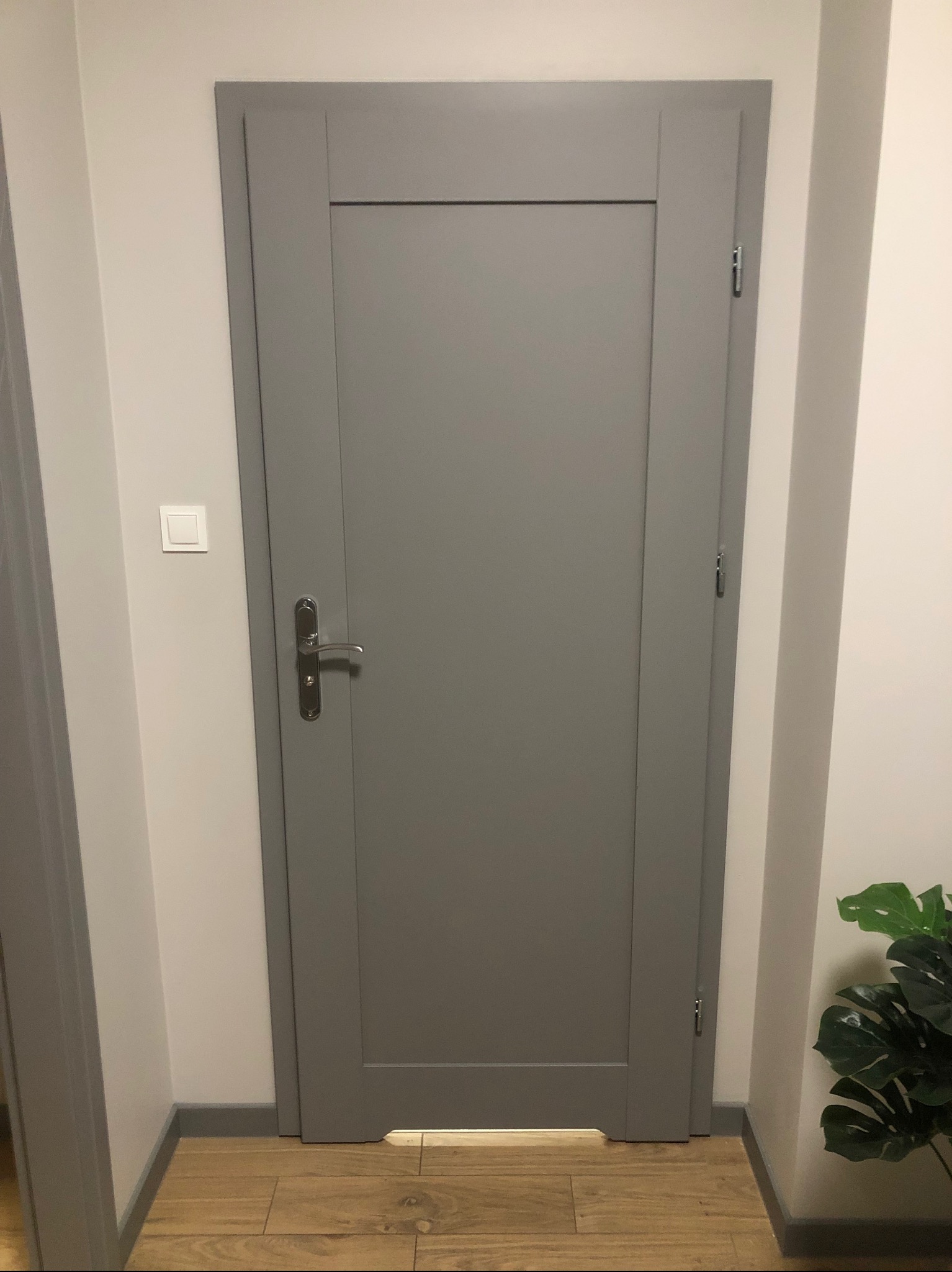 Szare, panelowe drzwi wewnętrzne z srebrną klamką, zamontowane w jasnym pomieszczeniu z drewnianą podłogą i rośliną doniczkową w rogu. Widoczny włącznik światła.