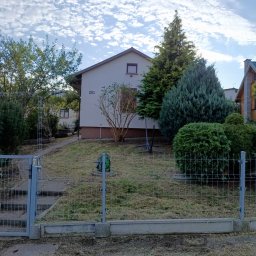 Trawa z rolki Gdańsk 4