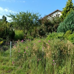 Trawa z rolki Gdańsk 3