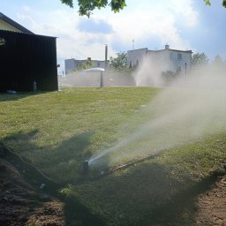 Trawa z rolki Gdańsk 2