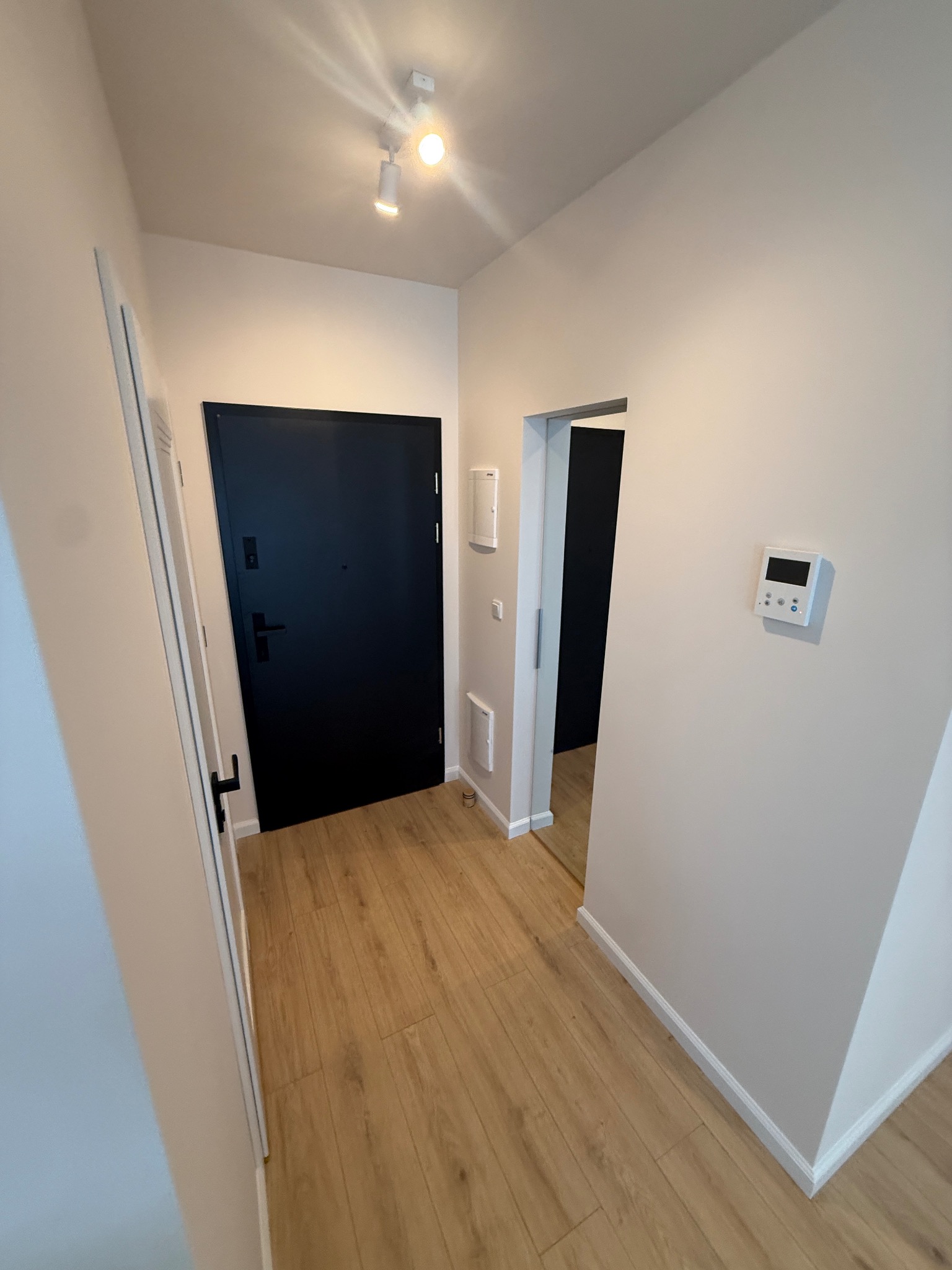 Nowoczesny przedpokój z czarnymi drzwiami i drewnianą podłogą. Ściany w jasnym odcieniu, oświetlenie punktowe. Widoczny panel sterowania i wejście do innego pomieszczenia.