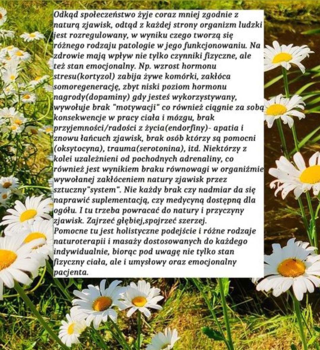 Tekst o holistycznym podejściu do zdrowia, otoczony kwitnącymi stokrotkami. Koncepcja naturoterapii i masaży dla równowagi ciała i umysłu pacjenta.