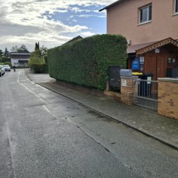 Wycinka drzew Serski Las 4