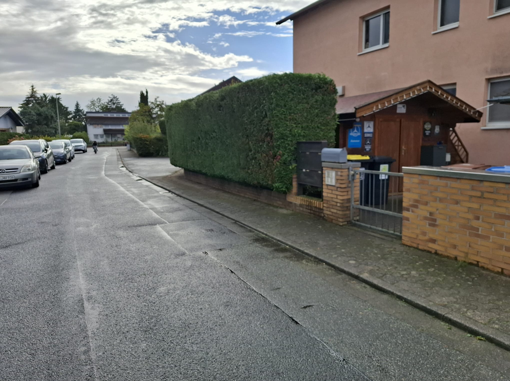 Równy, gęsty żywopłot z ciemnozielonych krzewów oddziela posesję od ulicy. Na chodniku widoczny murek z cegły i brama. W tle zaparkowane samochody i budynki.