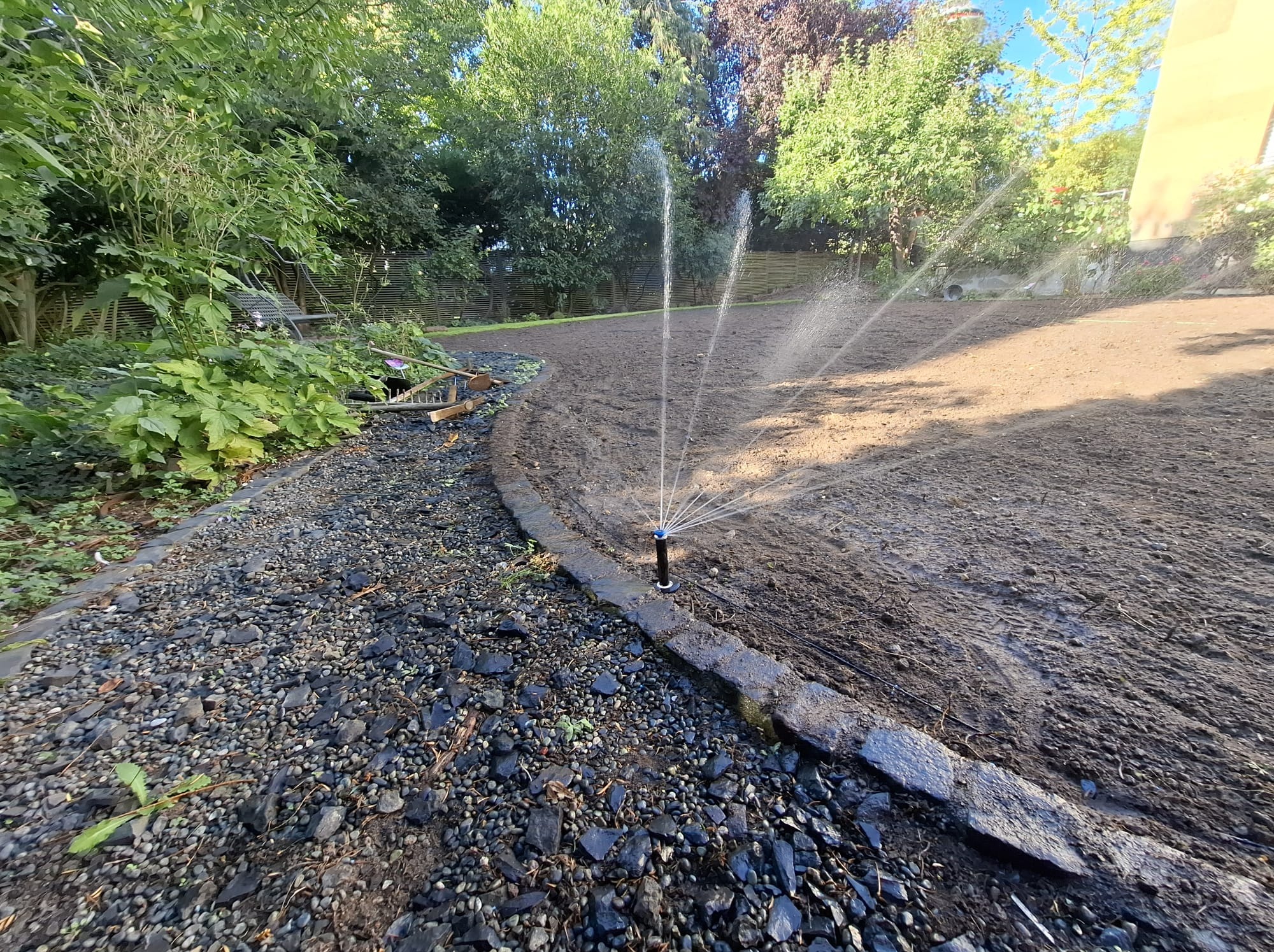Automatyczny system nawadniania w ogrodzie: zraszacze w akcji, nawilżają przygotowaną glebę pod trawnik, obok kamienny chodnik i zieleń. Widok z poziomu gruntu.