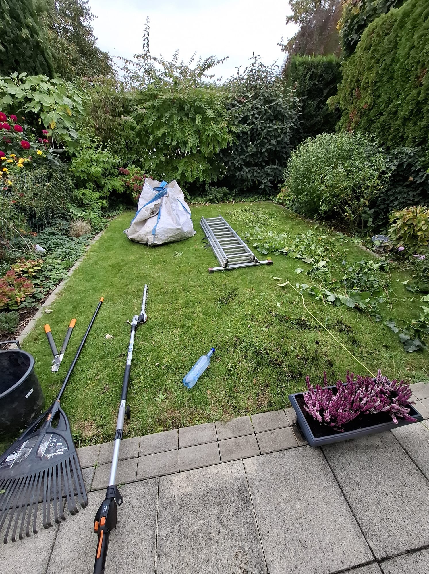 Uporządkowany trawnik po przycinaniu, z narzędziami ogrodniczymi, workiem na odpady i drabiną. Widoczne kwiaty w donicy i starannie utrzymana zieleń.