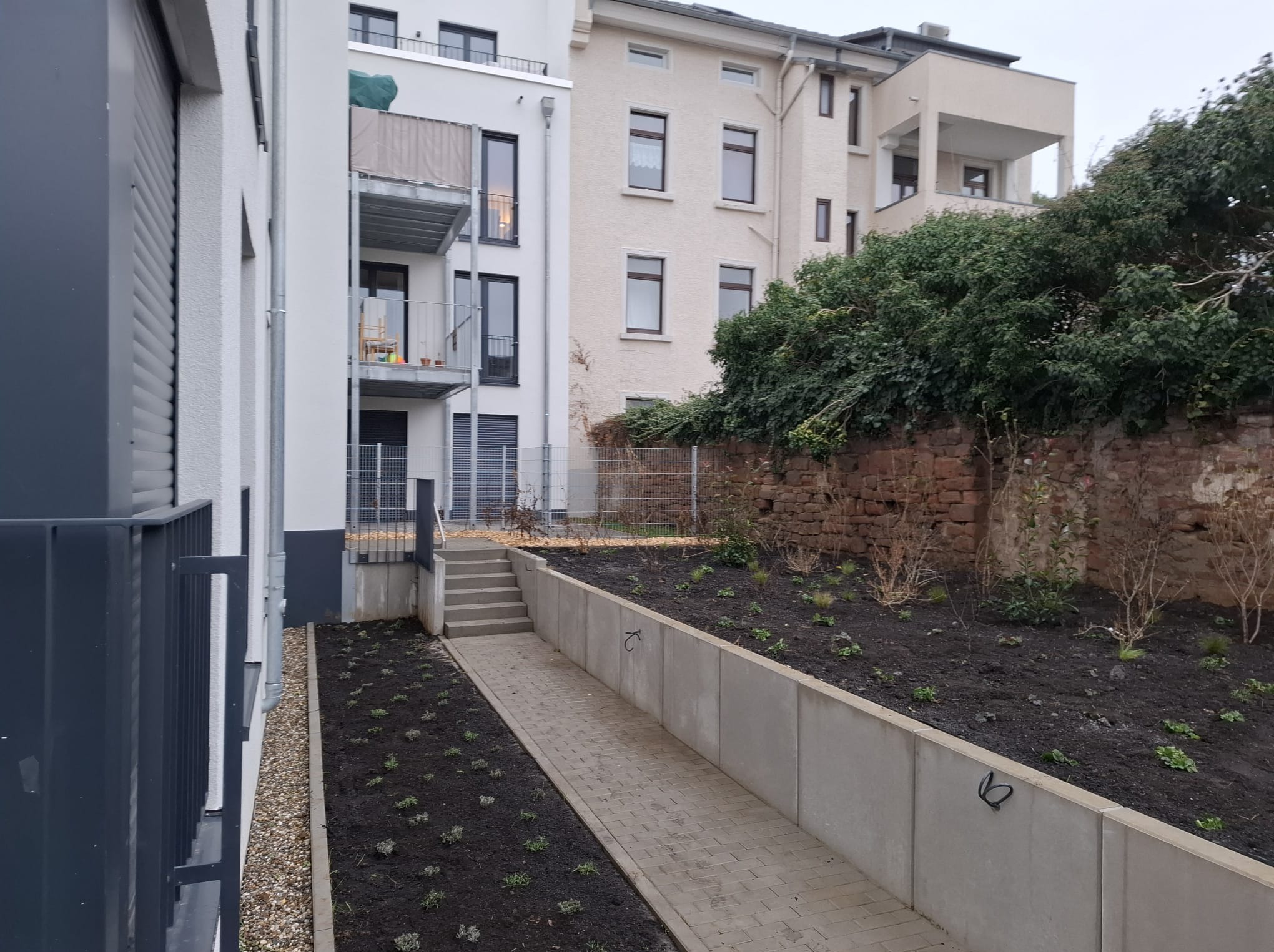 Nowoczesny ogród miejski z betonowymi murkami oporowymi, świeżo posadzoną roślinnością i brukowanym chodnikiem prowadzącym do schodów.