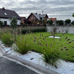 Zakładanie ogrodów Kobyla Góra 4