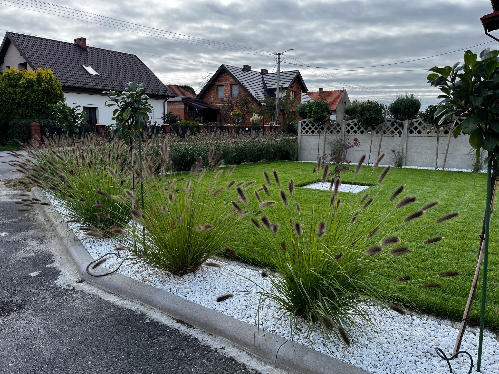 Ogród z równo przystrzyżonym trawnikiem, ozdobnymi trawami w białym żwirze i młodymi drzewkami. W tle domy jednorodzinne pod pochmurnym niebem.