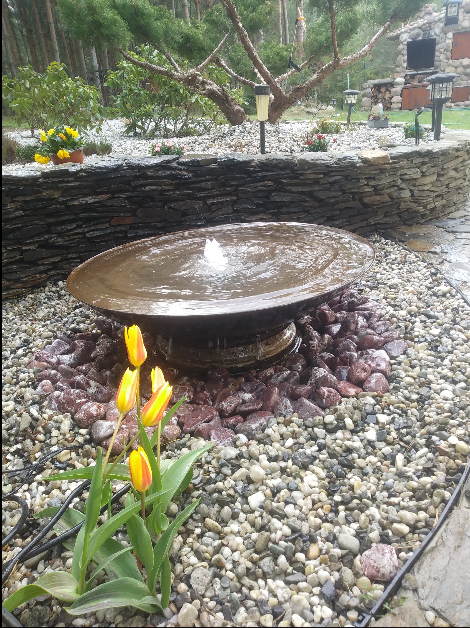 Ogród z fontanną w kształcie misy otoczonej kamieniami, z tulipanami w pierwszym planie i kamiennym murkiem w tle. Elementy dekoracyjne i oświetlenie ogrodowe.
