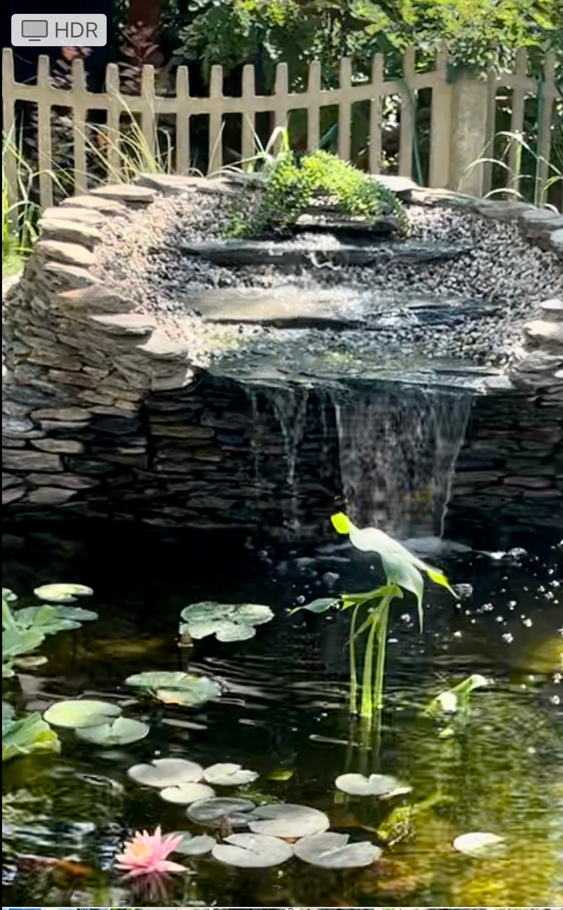 Ogród wodny z kaskadą, liliami wodnymi i kamienną konstrukcją. Woda spływa po kamieniach do stawu z roślinnością. W tle widoczny płot i zieleń.