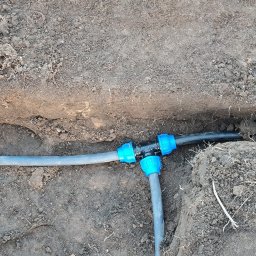 Trawa z rolki Rybnik 3