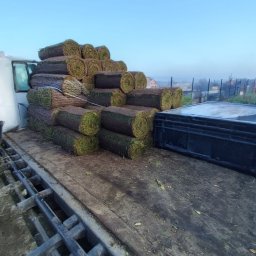 Trawa z rolki Rybnik 4