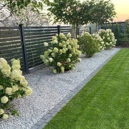 Ogrody po Naszymu - Nowoczesny ogród z równo przystrzyżonym trawnikiem, białymi kamieniami, kwitnącymi hortensjami i ciemnym, poziomym ogrodzeniem w tle o zmierzchu.