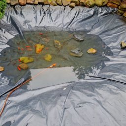 Ogrody po Naszymu - Po.....300 kilo szlamu ponad 50 rybek :)