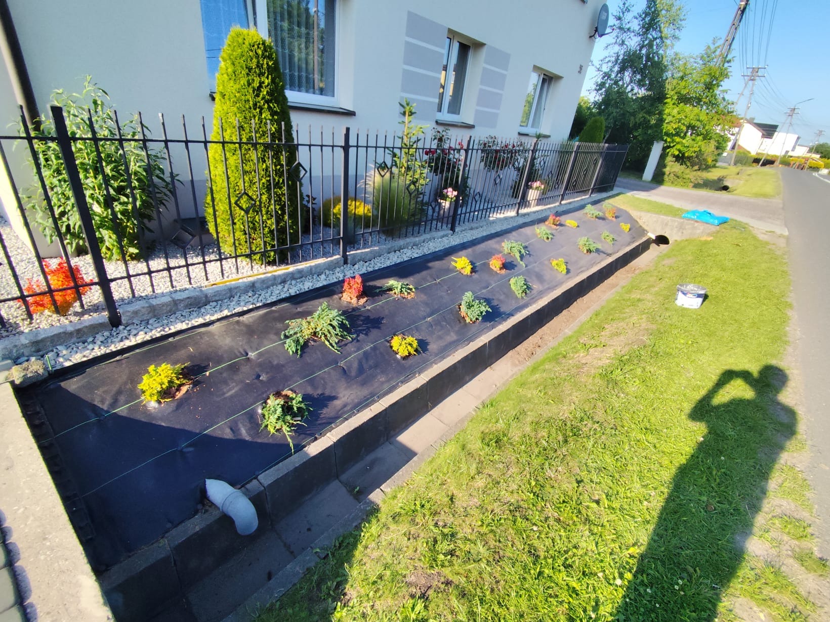 Przygotowanie rabaty z agrowłókniną i sadzonkami w ogrodzie przydomowym, widok z góry na czarną tkaninę i kolorowe rośliny, ogrodzenie z metalowych prętów w tle.