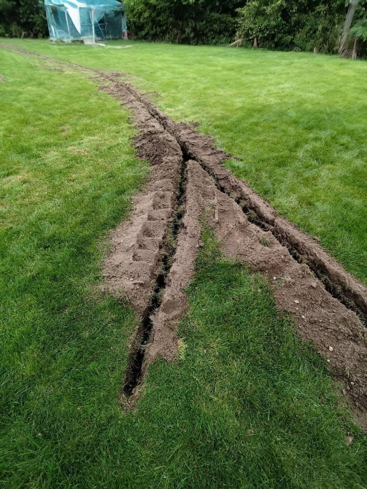 Wykonane rowy w trawniku, prawdopodobnie pod instalację nawadniającą. Widoczne ślady opon i świeżo wykopana ziemia. W tle szklarnia.