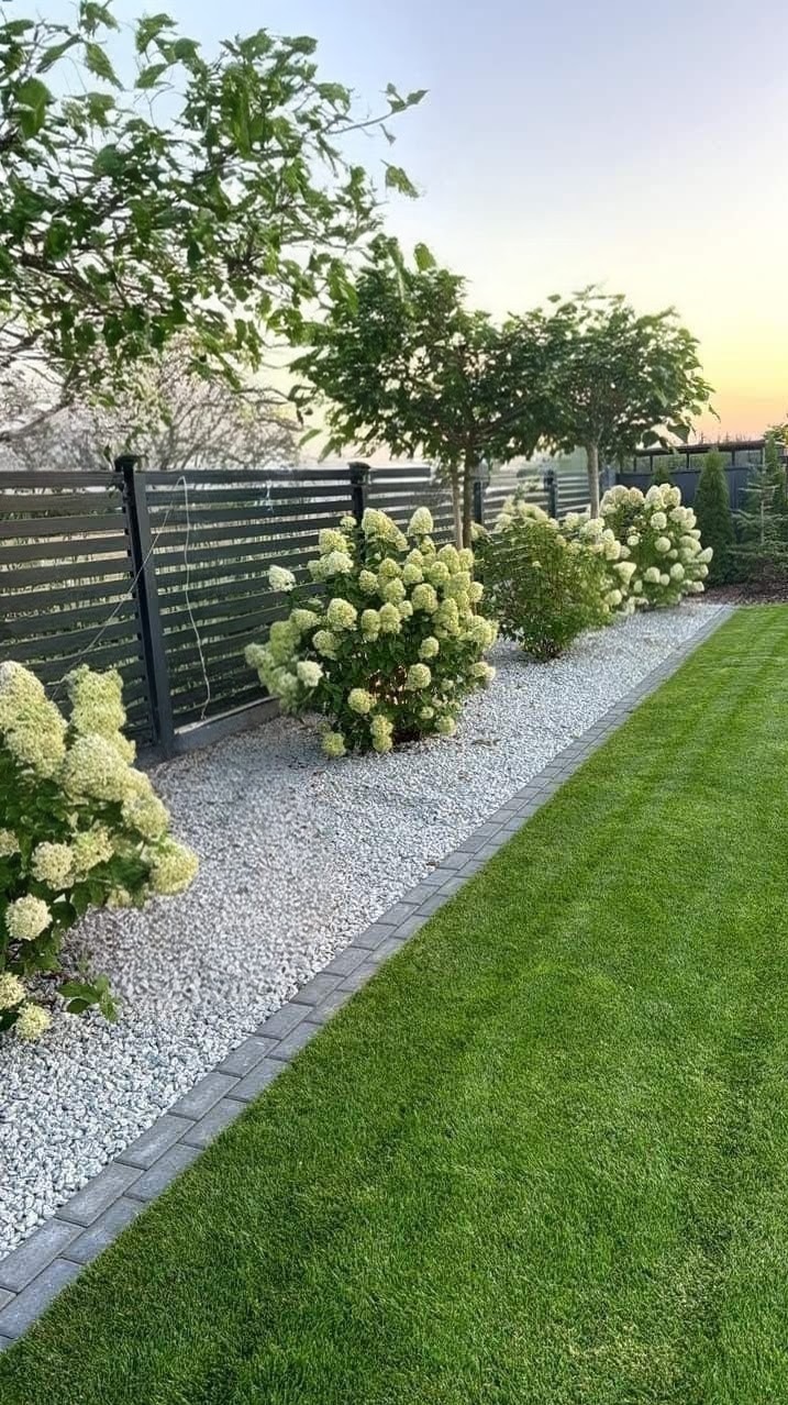 Nowoczesny ogród z równo przystrzyżonym trawnikiem, białymi kamieniami, kwitnącymi hortensjami i ciemnym, poziomym ogrodzeniem w tle o zmierzchu.