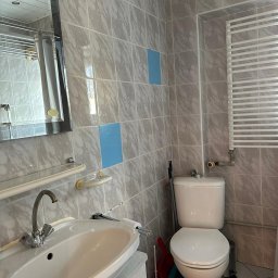 Gheorghe Gavriciuc - Wykończona łazienka z umywalką, toaletą i grzejnikiem drabinkowym. Na ścianach szare płytki z niebieskimi akcentami. Widoczne akcesoria łazienkowe i lustro.