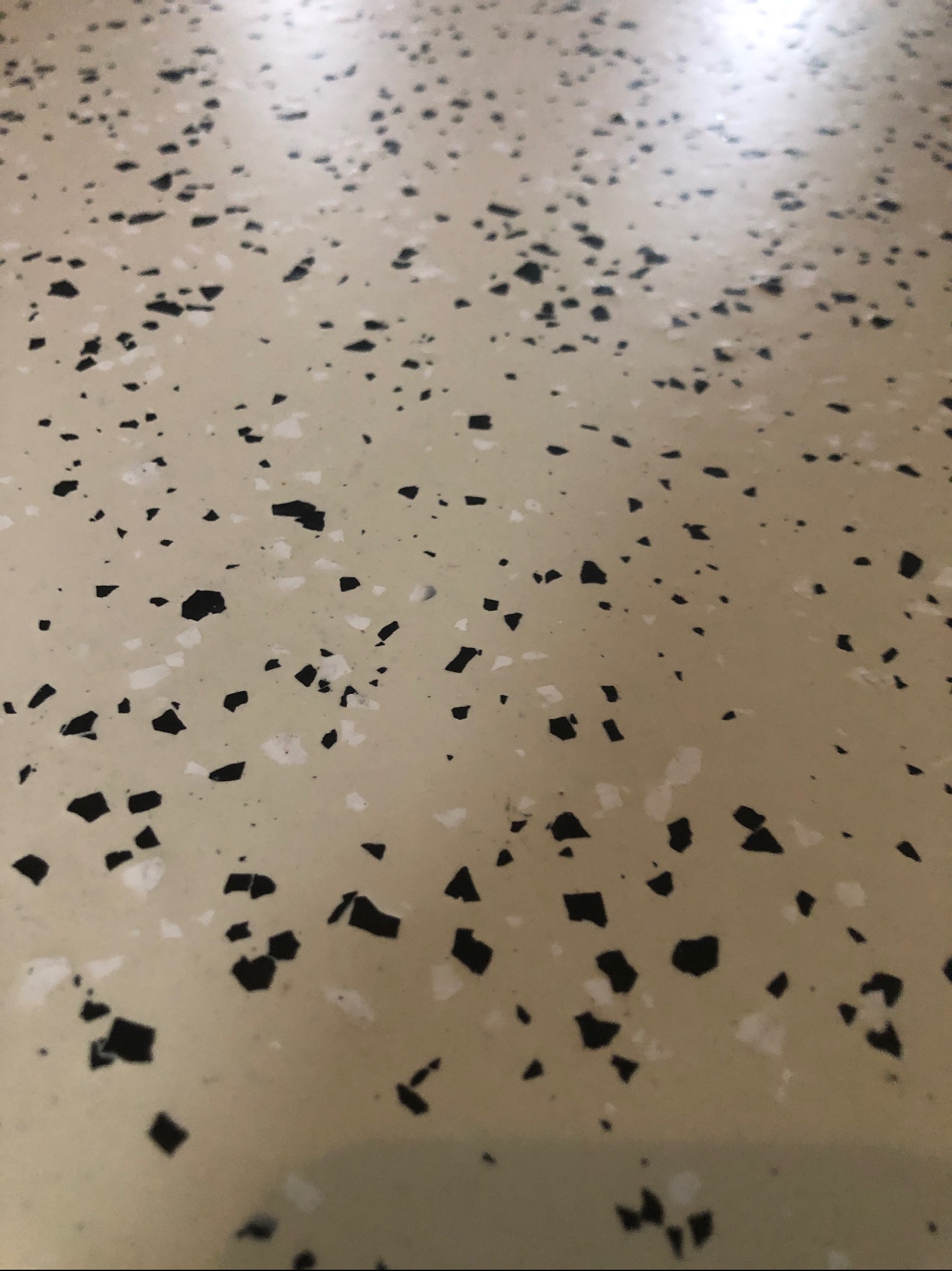 Beżowa posadzka z czarnymi i białymi elementami dekoracyjnymi, tworzącymi wzór lastryko. Gładka powierzchnia, widoczne drobne detale i faktura materiału.