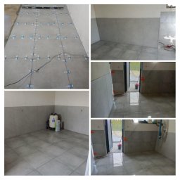 Glazurnik Sosnowiec 2