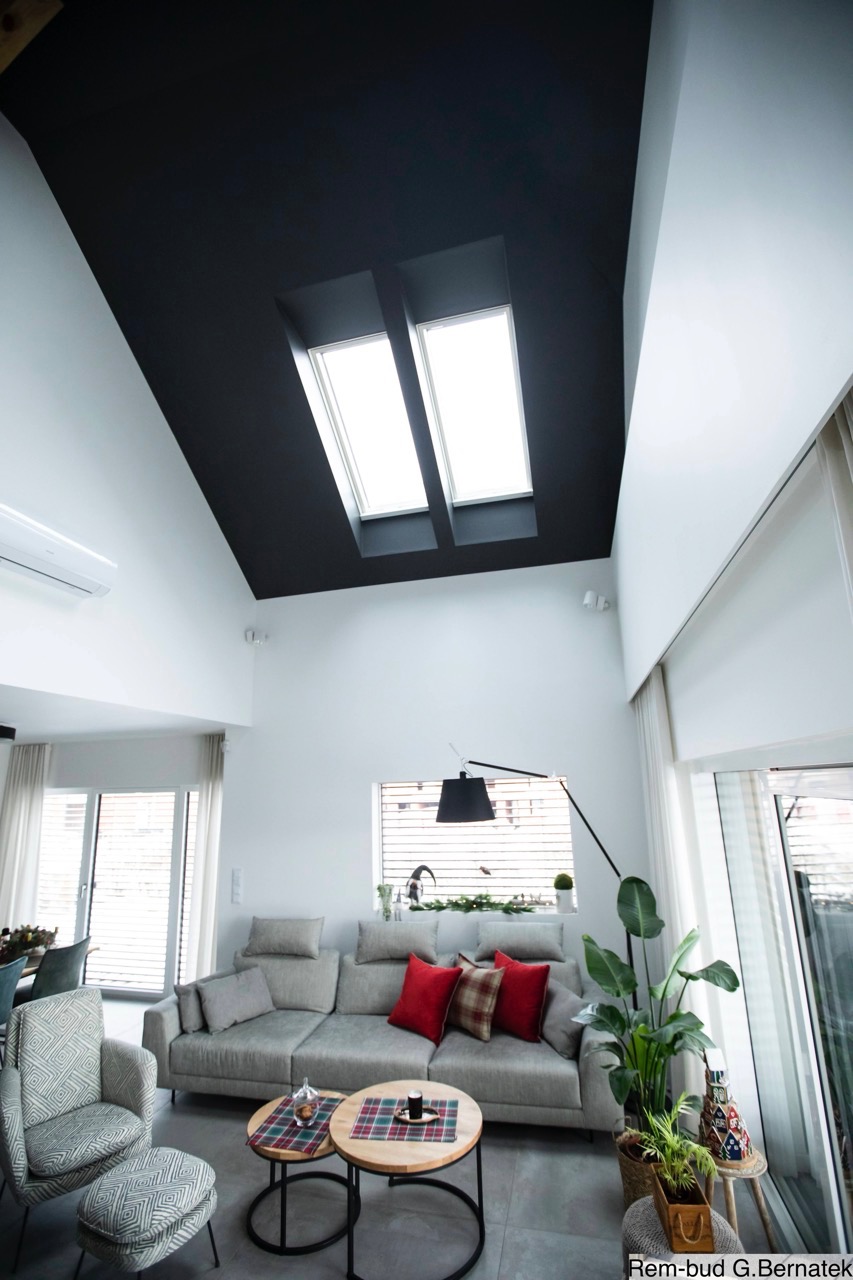 Nowoczesny salon z czarnym sufitem i dwoma oknami dachowymi, szara sofa z czerwonymi poduszkami, okrągłe stoliki kawowe i rośliny doniczkowe. Jasne, przestronne wnętrze.