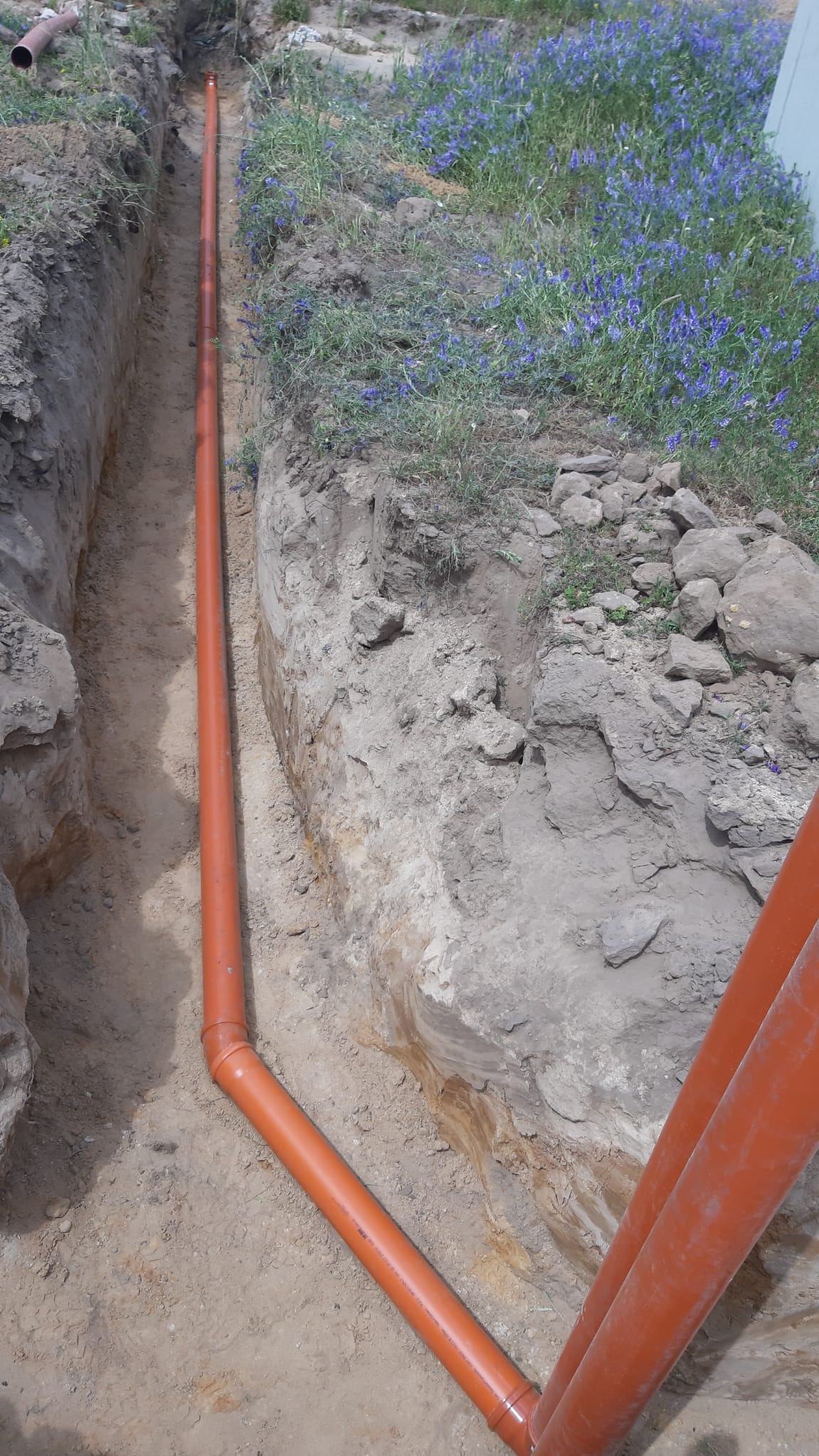 Pomarańczowe rury kanalizacyjne ułożone w wykopie ziemnym, widoczne połączenia i fragmenty rur. W tle ziemia, trawa i niebieskie kwiaty.