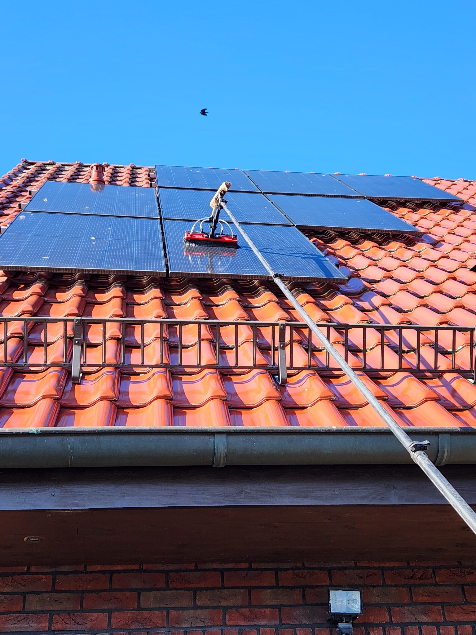 Mycie paneli słonecznych na dachu domu za pomocą szczotki na długim wysięgniku. Czerwona dachówka i błękitne niebo w tle. Widoczny ptak w locie.