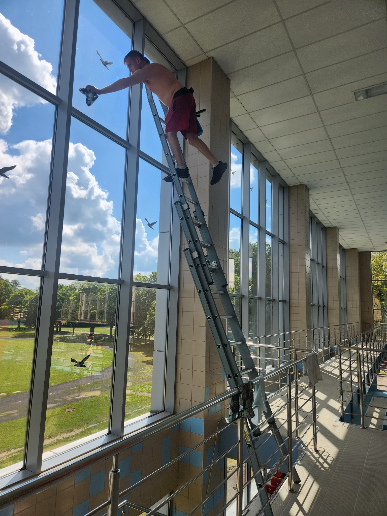 Mężczyzna na drabinie czyści wysokie okna w budynku. Widoczne niebo z chmurami i ptaki za oknem. Praca na wysokości w jasnym, przestronnym wnętrzu.